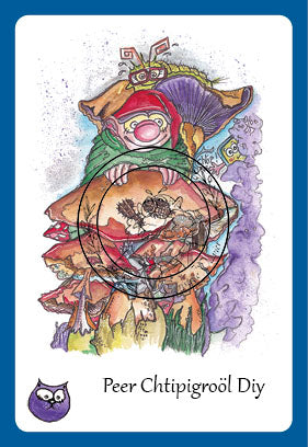 Cartes collection DIY édition 2